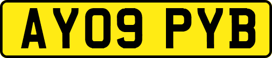 AY09PYB