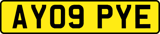 AY09PYE