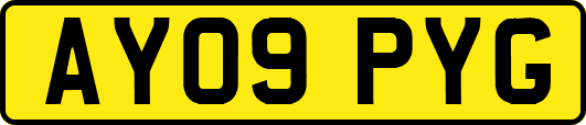 AY09PYG