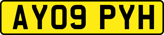 AY09PYH