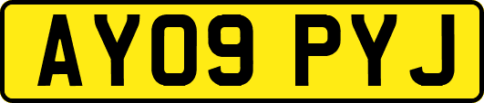 AY09PYJ