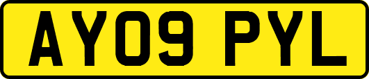 AY09PYL