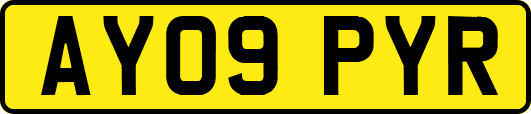 AY09PYR