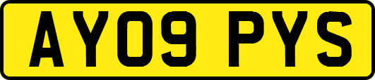 AY09PYS