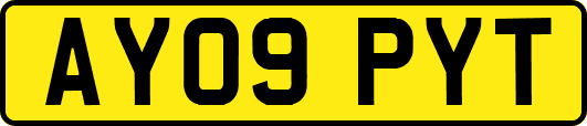 AY09PYT