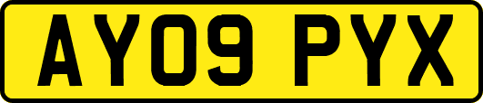 AY09PYX