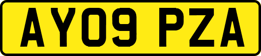AY09PZA