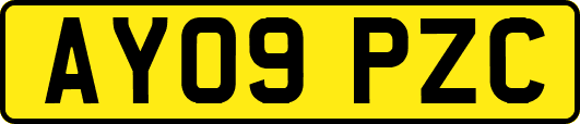 AY09PZC