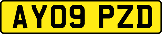 AY09PZD