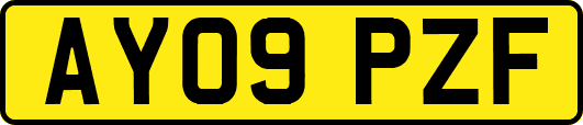AY09PZF