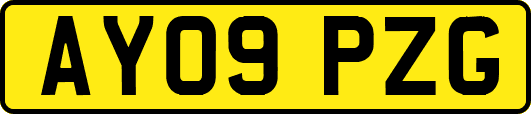 AY09PZG