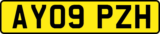 AY09PZH
