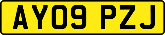AY09PZJ