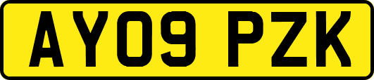 AY09PZK