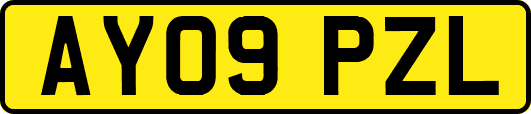 AY09PZL
