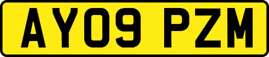 AY09PZM