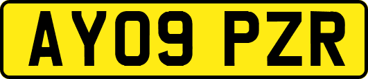 AY09PZR