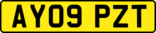 AY09PZT