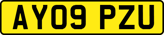 AY09PZU