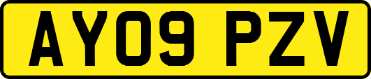 AY09PZV