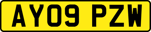 AY09PZW