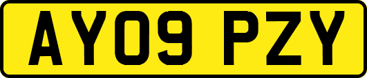 AY09PZY