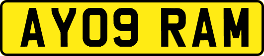 AY09RAM