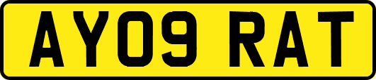 AY09RAT