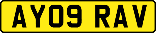AY09RAV