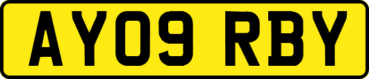 AY09RBY