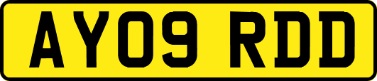 AY09RDD