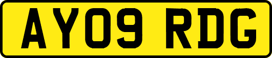 AY09RDG