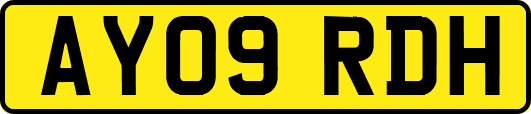 AY09RDH