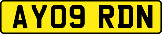 AY09RDN