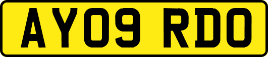 AY09RDO