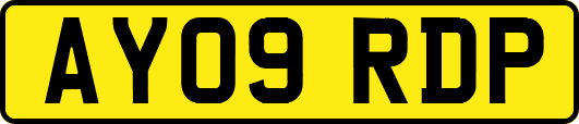 AY09RDP