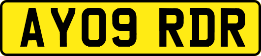 AY09RDR