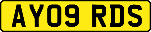 AY09RDS