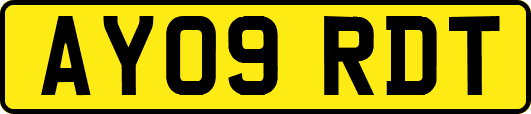 AY09RDT
