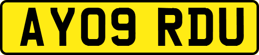 AY09RDU