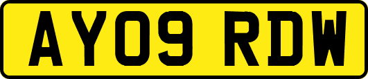 AY09RDW
