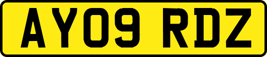 AY09RDZ