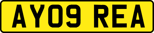 AY09REA