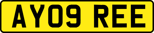 AY09REE