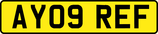 AY09REF