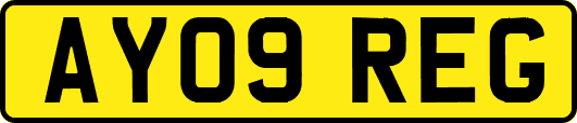 AY09REG