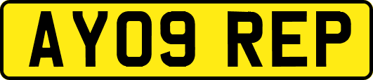 AY09REP