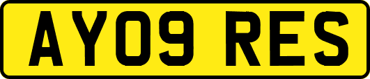 AY09RES