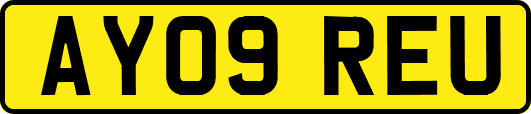 AY09REU