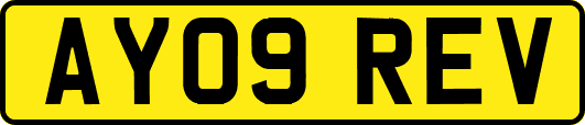 AY09REV